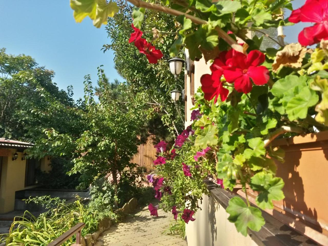 Casa Mica Guesthouse Bukares Bagian luar foto