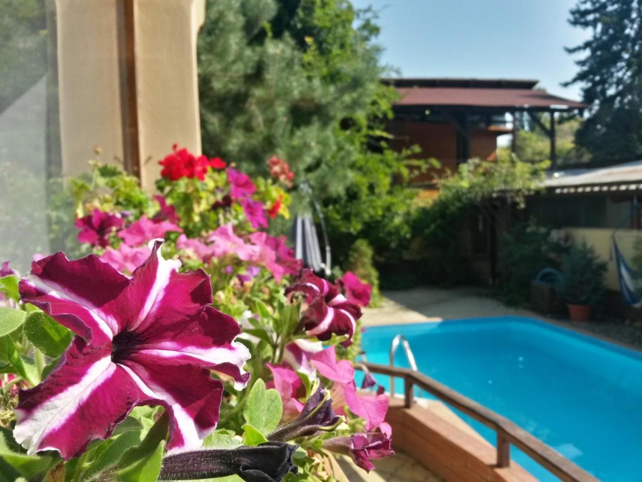 Casa Mica Guesthouse Bukares Bagian luar foto
