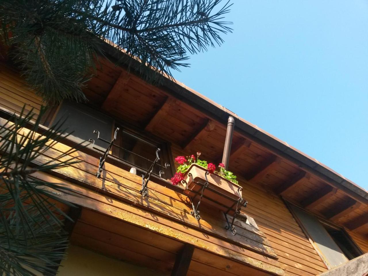 Casa Mica Guesthouse Bukares Bagian luar foto