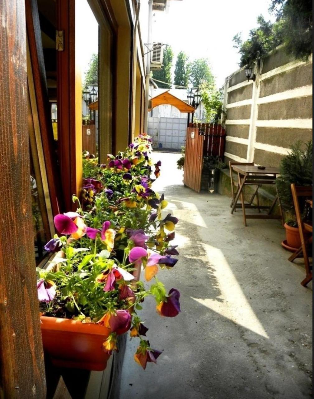 Casa Mica Guesthouse Bukares Bagian luar foto